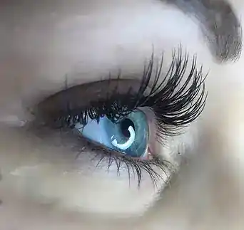 EYE LASHES EXTENSION